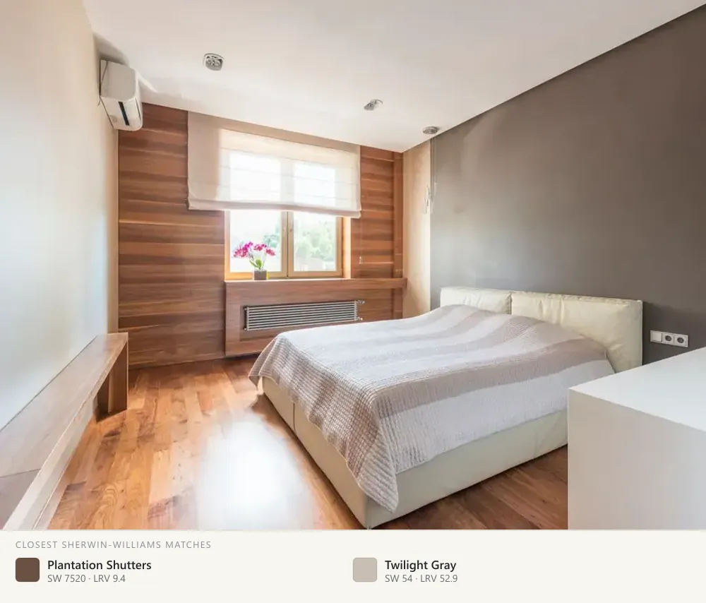 Chocolate brown accent wall