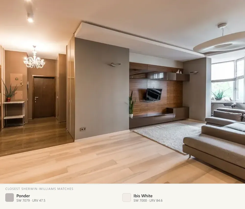 Warm gray apartment wall